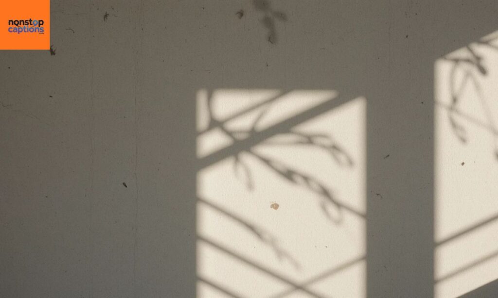 Shadow Captions for Instagram With Friends