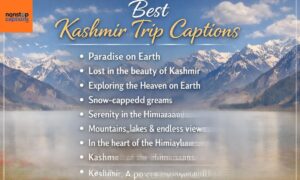 Best Kashmir Trip Captions